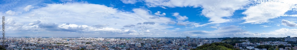 Tokyo panorama view