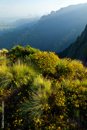 Parque Nacional Monta  as Simien  Etiopia  Africa