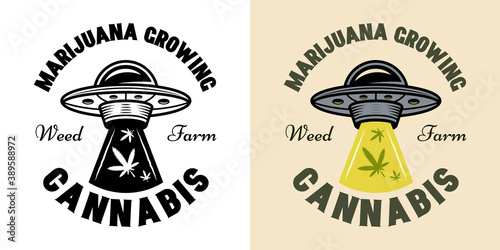 Cannabis growing company vector emblem with ufo