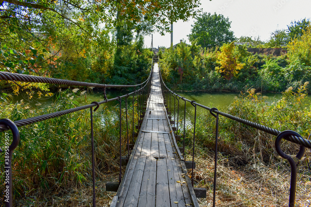 suspension bridge in the forest suspension bridge in the forest