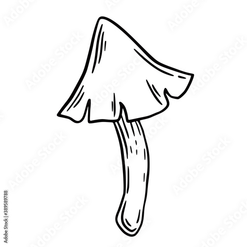 Hand drawn vector isolated poisoned mushrooms. Black outline illustration of magic mushrooms. Witchcraft aesthetic tools.