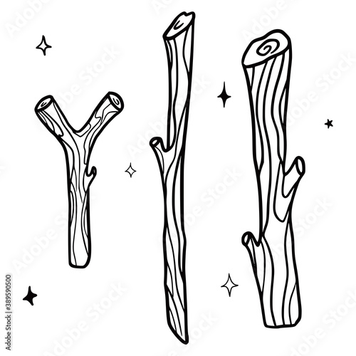 Hand drawn vector isolated  wooden sticks. Black outline illustration of magic sticks. Witchcraft aesthetic tools.
