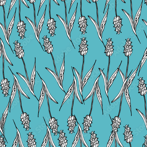 Background with wildflowers, lavender. Dried flowers, medicinal plants, canola, lavender. Beautiful little flowers. For wallpaper, banner, coloring, design paper, packaging. Isolate, stock art