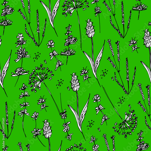 Background with wildflowers, lavender. Dried flowers, medicinal plants, canola, lavender. Beautiful little flowers. For wallpaper, banner, coloring, design paper, packaging. Isolate, stock art