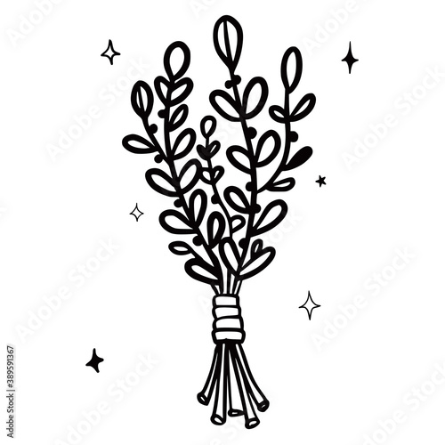 Hand drawn vector isolated dry herbs sheaf. Black outline illustration of drying herbs. Witchcraft aesthetic tools.
