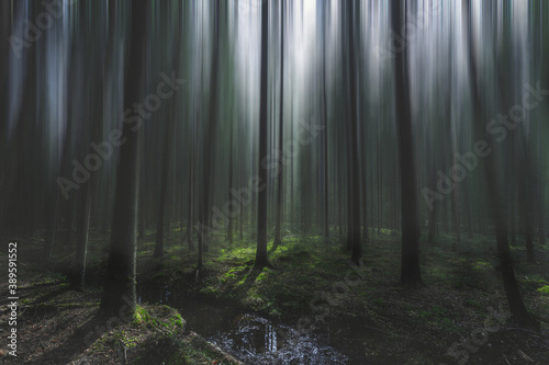Dreay abstract forest