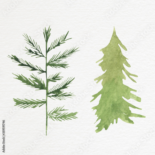 Watercolor drawing of conifers on textured paper. Winter  Christmas items. For your design.