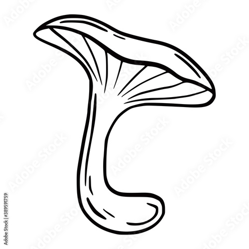 Hand drawn vector isolated poisoned mushrooms. Black outline illustration of magic mushrooms. Witchcraft aesthetic tools.