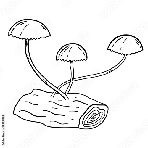 Hand drawn vector isolated poisoned mushrooms. Black outline illustration of magic mushrooms on the stump. Witchcraft aesthetic tools.