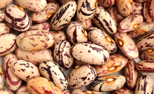 Dry beans background, pinto beans photo