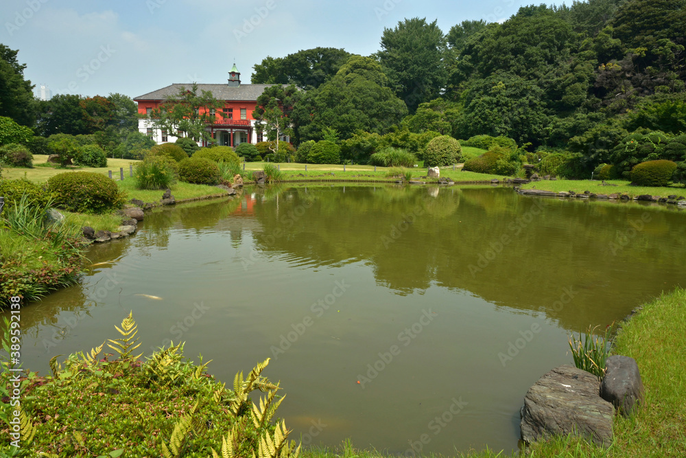 日本庭園 日本庭園