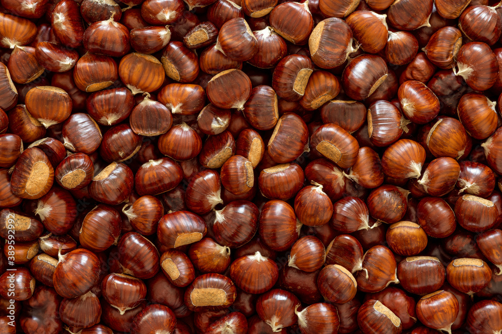 Sweet Chestnuts background for the backdrop. Flat lay of chestnut Sweet Chestnuts background for the backdrop. Flat lay of chestnut