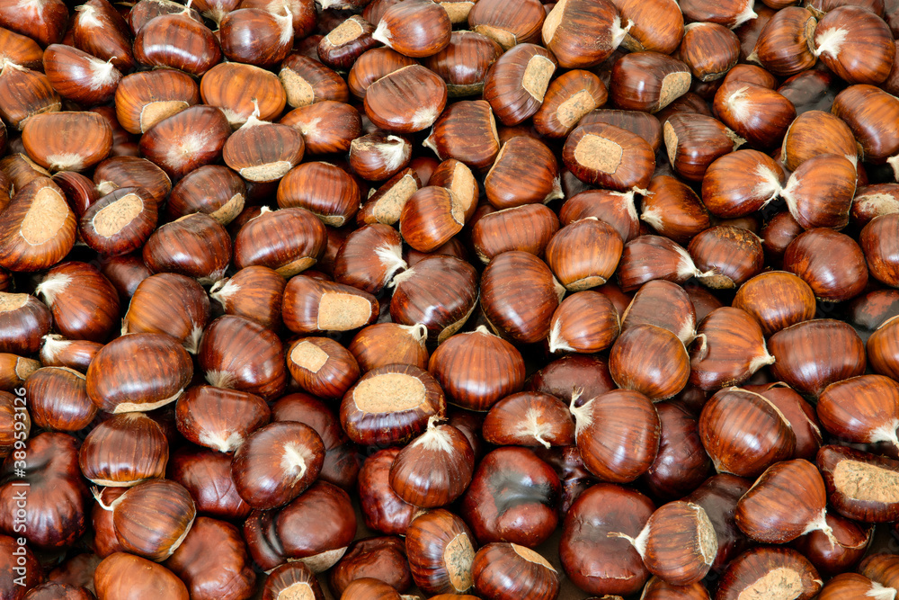 Sweet chestnut background for creative backdrop (Focus stacking) Sweet chestnut background for creative backdrop (Focus stacking)