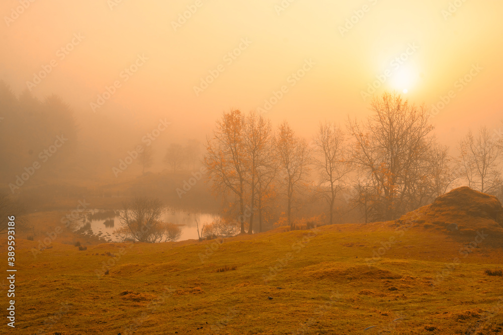Foggy autumn autumn morning landscape
