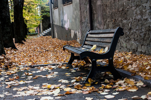 Panchine in autunno - bench in autumn