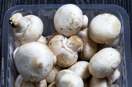 Champignons de Paris - Agaricus bisporus - dans leur conditionnement plastique sur fond noir 