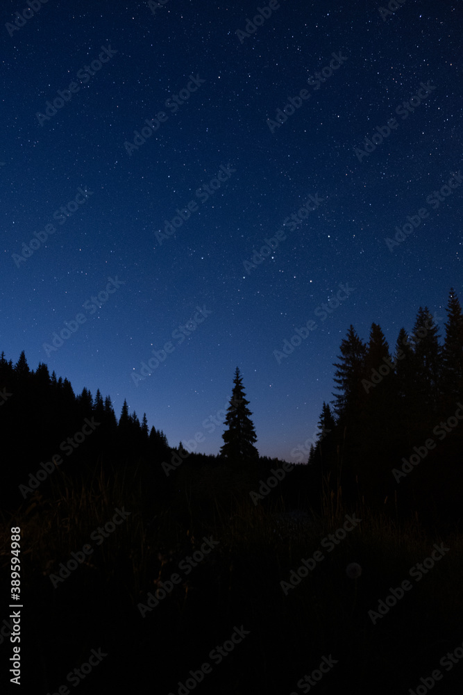 Fototapeta premium Lovely evening in the mountains