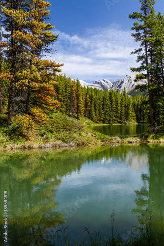 Fototapeta Naklejka Na Ścianę i Meble -  The Rocky Mountains. Beautiful Canadian Landscape. The view of lovely  Moose Lake  in Jasper National Park, Alberta, Canada, North  America 