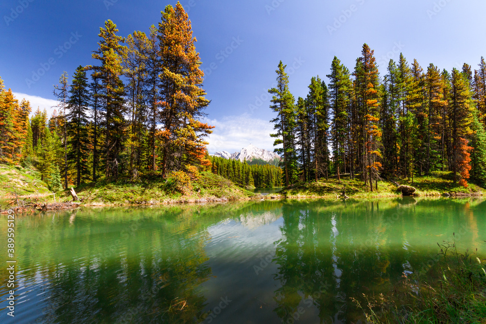 Obraz premium The Rocky Mountains. Beautiful Canadian Landscape. The view of lovely Moose Lake in Jasper National Park, Alberta, Canada, North America 
