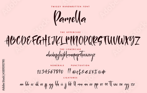 Handwritten script playful font sister Pamella vector alphabet set photo