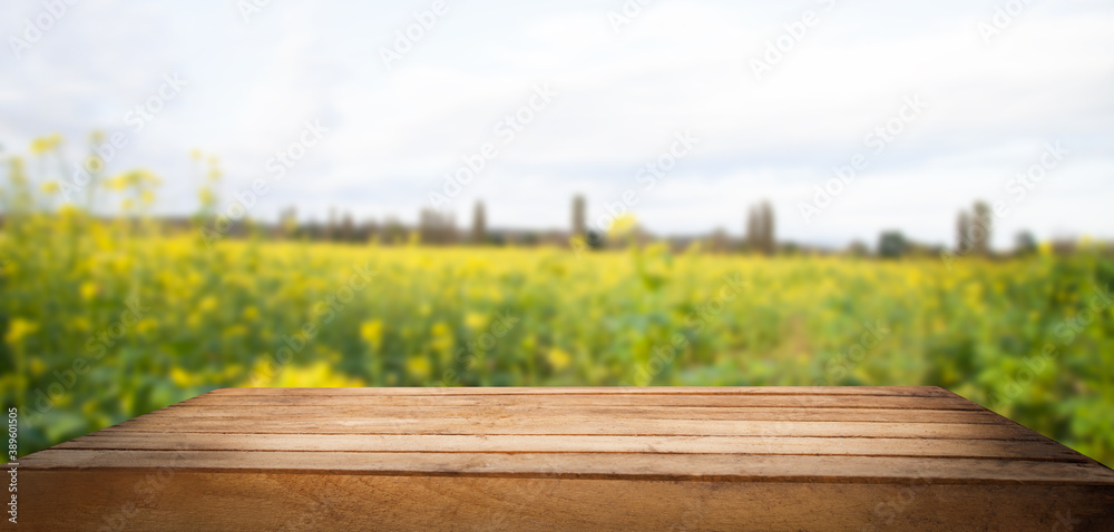 Naklejka premium table on a blurred background of a green field, place for your products