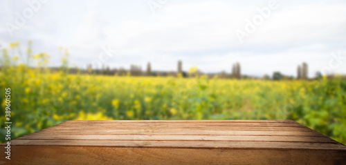 table on a blurred background of a green field, place for your products
