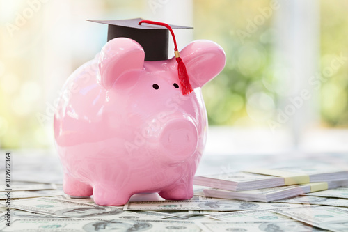 Принти на полотні Saving for education and university