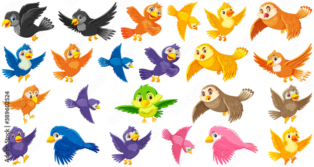 Set of bird cartoon character