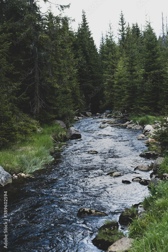 Beautiful summer in the Czech mountains Beautiful summer in the Czech mountains