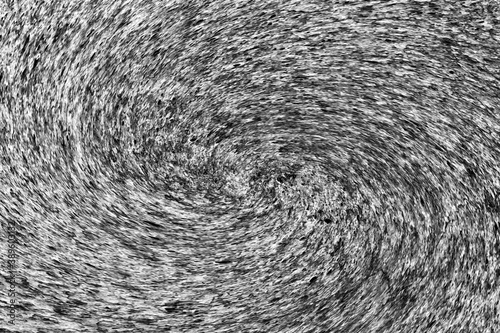 Abstract black and white spiral waves background