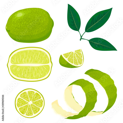 Fresh limes with leaves. Collection of different lime views.