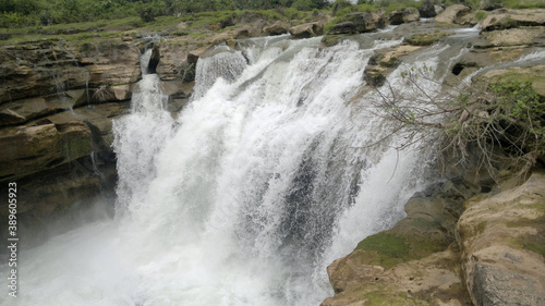 Forest Waterfall