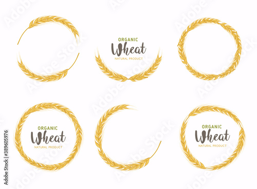 Paddy Wheat organic grain products food banner sign vector design.