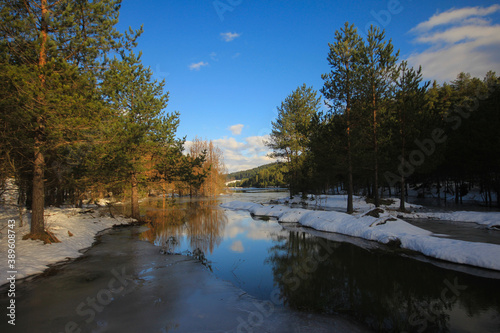 Bozcaarmut Pond - Bilecik. Untouched nature of Bozcaarmut Pond, suitable for angling photo