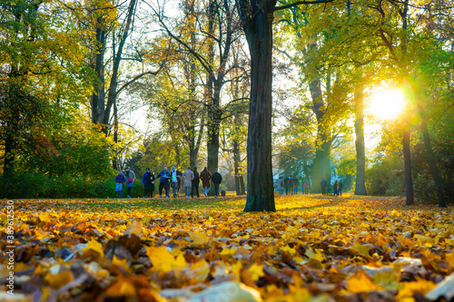 Autumn in Warsaw - People walk in Lazienki park Poland. Autumn landscape park in Warsaw