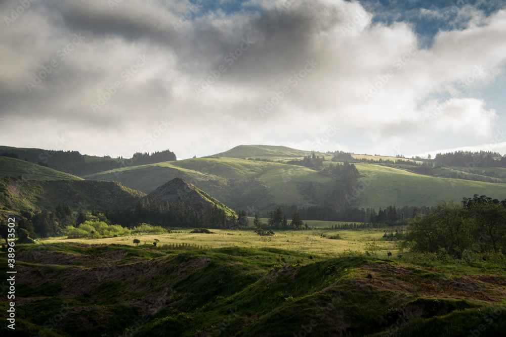 countryside plains with forest trees and hills countryside plains with forest trees and hills