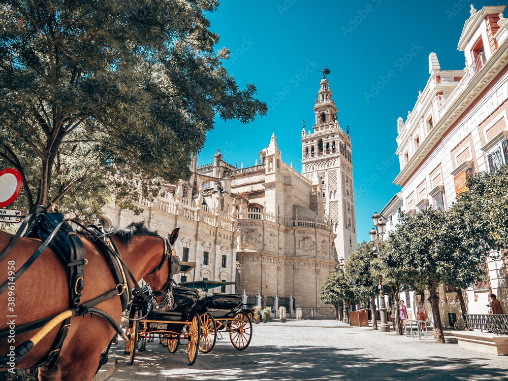 Fototapeta premium Catedral de Sevilla