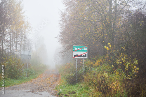 leśna mglista jesienna ścieżka,ścieżka,droga,mgła