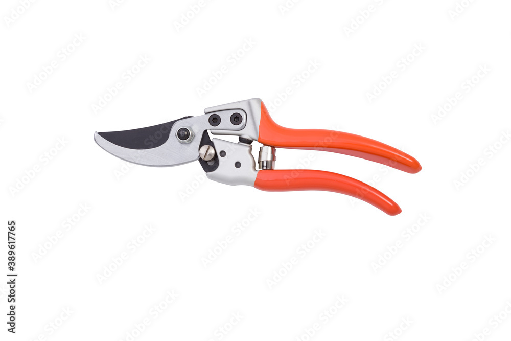 red gardening scissors on a white background red gardening scissors on a white background