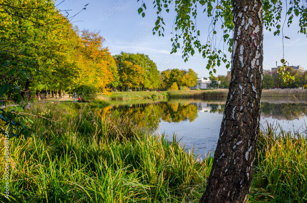Landscape with autumn park in the sunny day. Yellow and green trees are displayed with reflection on the lake. Landscape with autumn park in the sunny day. Yellow and green trees are displayed with reflection on the lake.