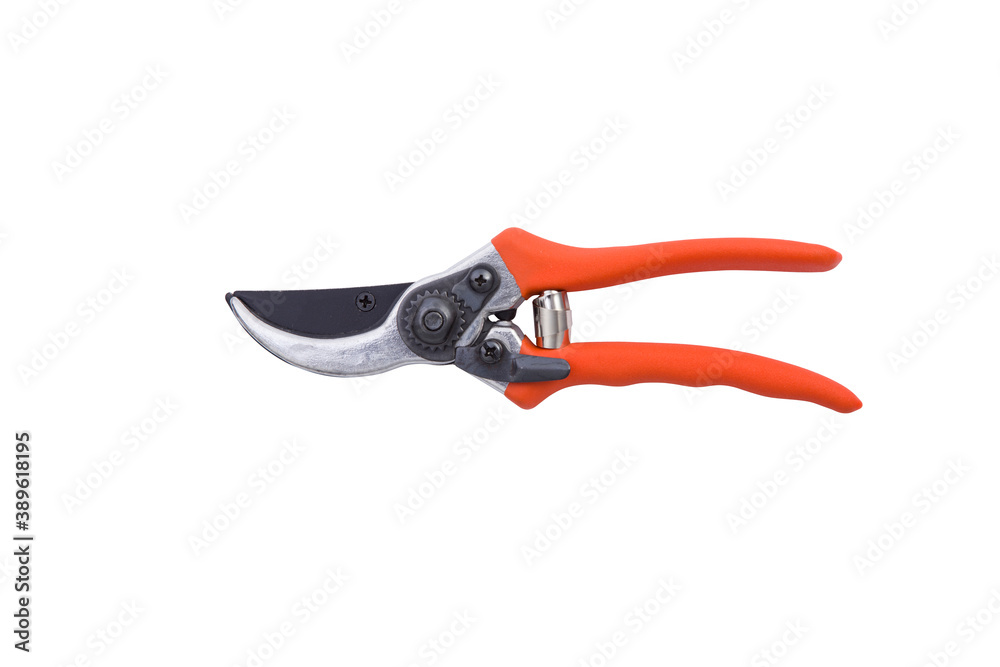 red gardening scissors on a white background red gardening scissors on a white background