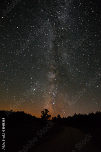 Starry sky in summer night with the Milky Way and great variety of colors. Forest with shadows. Panoramic photography
