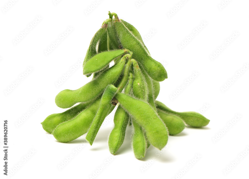Fresh harvested soybean (edamame) plant isolated on white background