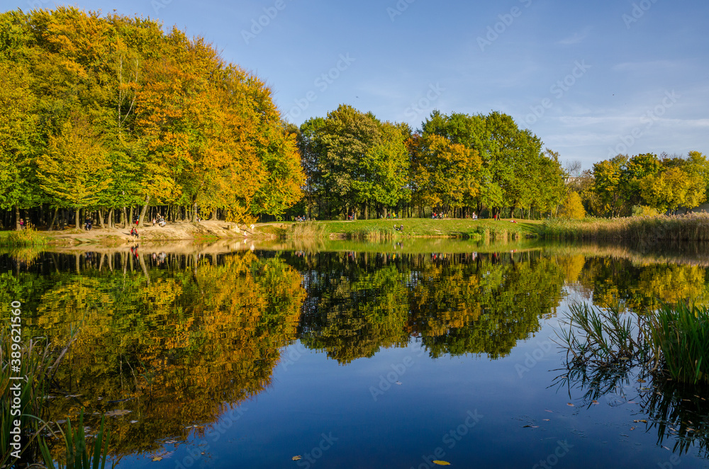 Landscape with autumn park in the sunny day. Yellow and green trees are displayed with reflection on the lake.