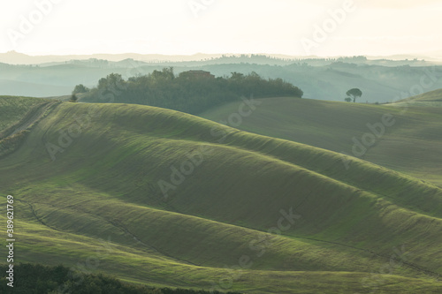 the rolling hills of tuscany in the morning light