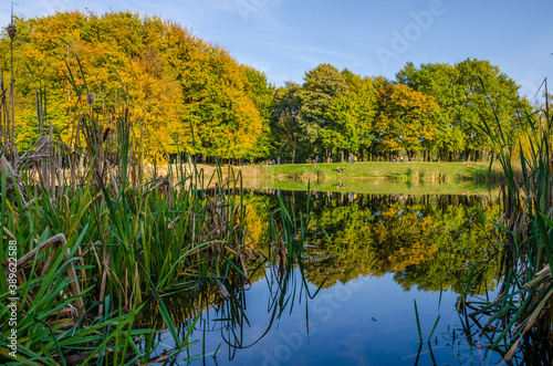 Landscape with autumn park in the sunny day. Yellow and green trees are displayed with reflection on the lake.