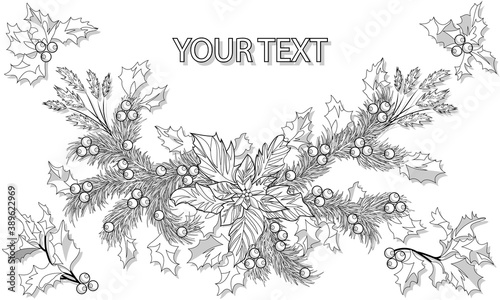 Coloring of greeting card with a Christmas bouquet of poinsettia, spruce branches and Holly