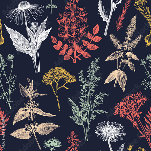 Botanical background with hand drawn spices and herbs. Decorative colorful backdrop with vintage medicinal plants sketches. Herbal seamless pattern. photo