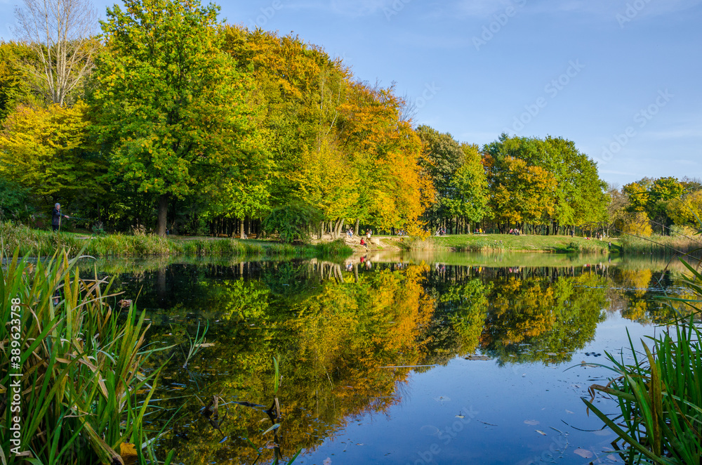 Landscape with autumn park in the sunny day. Yellow and green trees are displayed with reflection on the lake.