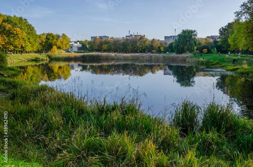 Landscape with autumn park in the sunny day. Yellow and green trees are displayed with reflection on the lake. © thaarey1986
